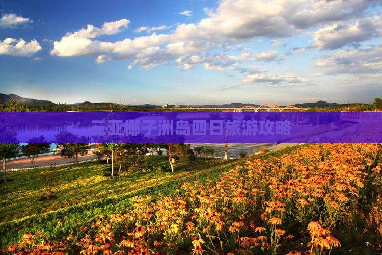 大理去三亚椰子洲岛四日游