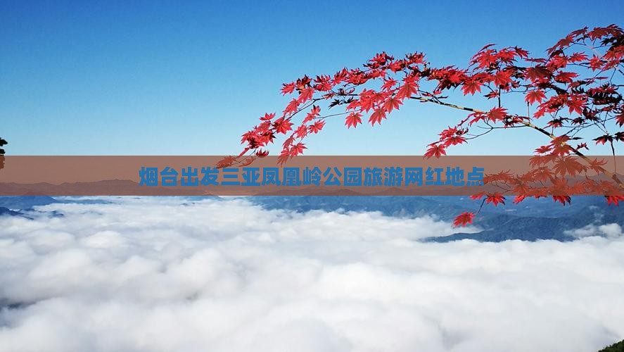 烟台出发三亚凤凰岭公园旅游网红地点