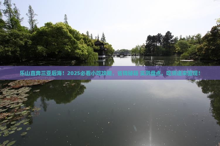 乐山前往三亚后海旅游小吃