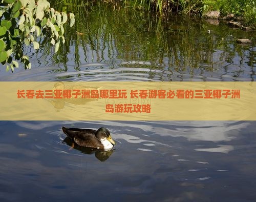 长春去三亚椰子洲岛哪里玩