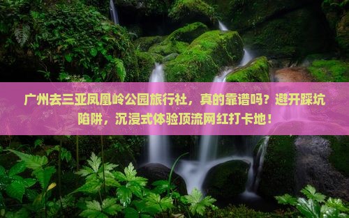 广州去三亚凤凰岭公园旅行社