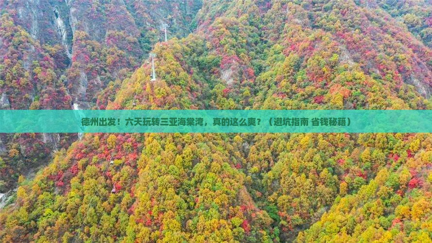德州前往三亚海棠湾六日游