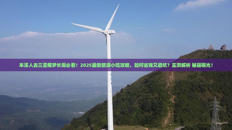 本溪前往三亚椰梦长廊旅游小吃