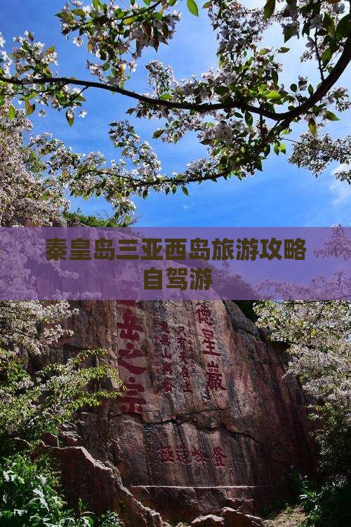 秦皇岛出发三亚西岛个人游