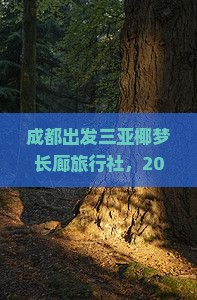 成都出发三亚椰梦长廊旅行社