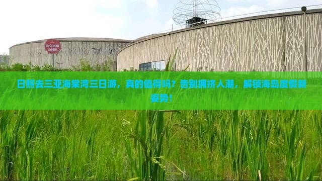 日照去三亚海棠湾三日游