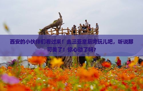 西安去三亚皇后湾旅行社