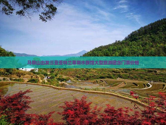 马鞍山出发三亚亚特兰蒂斯水族馆大型旅游团