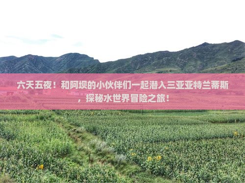阿坝前往三亚亚特兰蒂斯水世界六日游