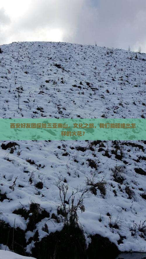 西安去三亚南山文化旅游区团体旅游