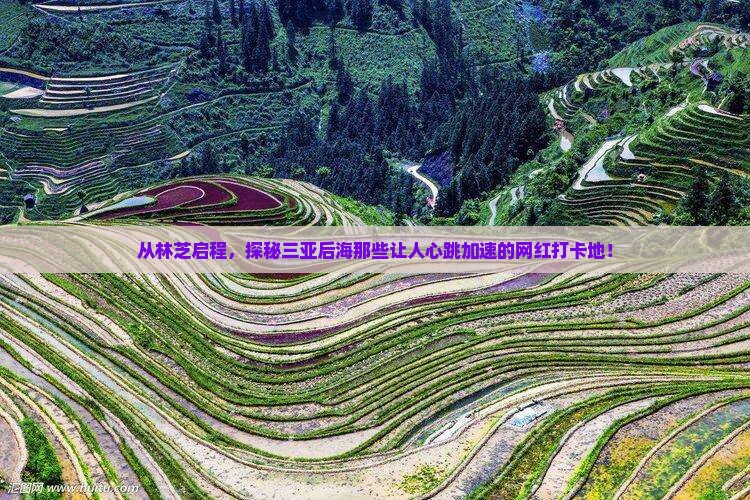 林芝前往三亚后海旅游网红地点
