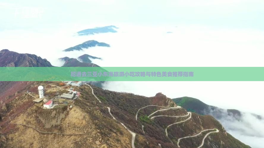 昭通去三亚小东海旅游小吃