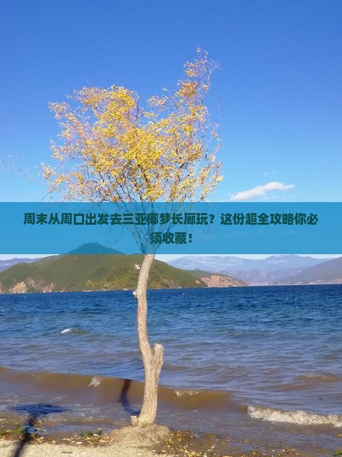 周口去三亚椰梦长廊攻略