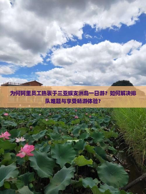 阿里去三亚蜈支洲岛一日游