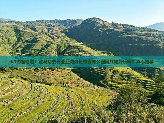 驻马店去三亚亚龙湾热带森林公园旅游网红地点