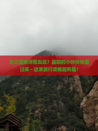 益阳去三亚南湾猴岛旅游
