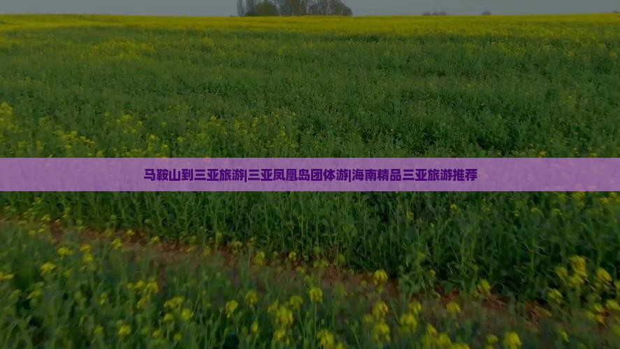 马鞍山去三亚凤凰岛团体旅游