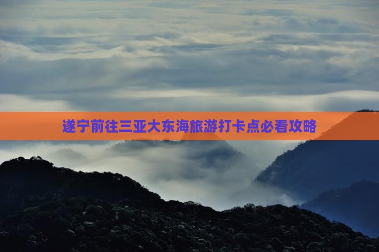 遂宁前往三亚大东海旅游打卡点
