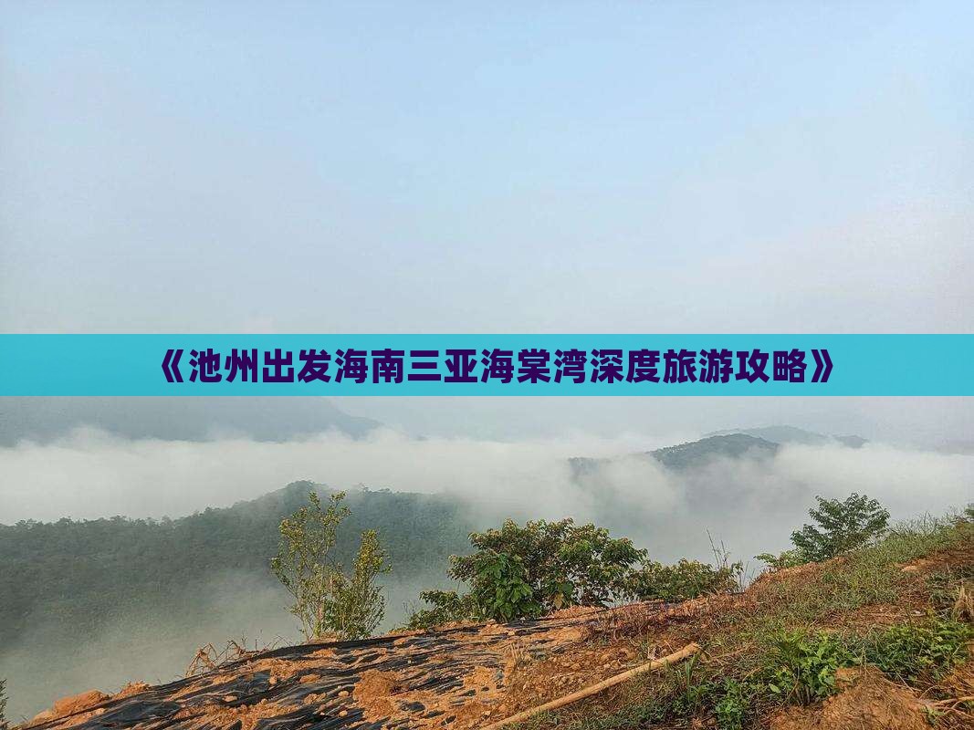 池州出发三亚海棠湾个人游