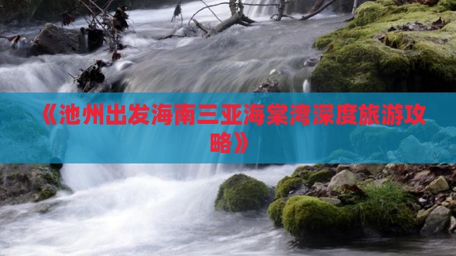 池州出发三亚海棠湾个人游