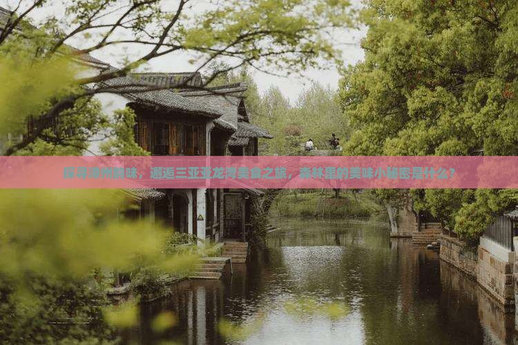 漳州去三亚亚龙湾热带森林公园旅游小吃