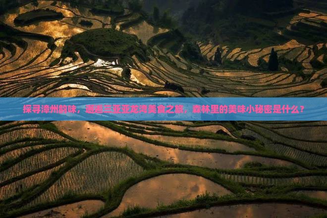 漳州去三亚亚龙湾热带森林公园旅游小吃