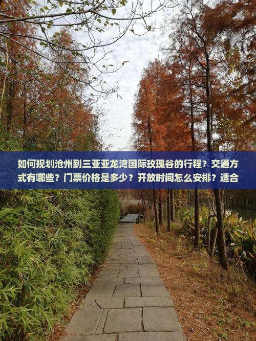 沧州去三亚亚龙湾国际玫瑰谷攻略
