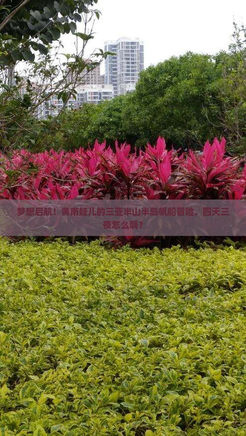 黄南出发三亚半山半岛帆船港四日游