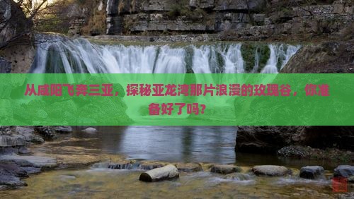 咸阳出发三亚亚龙湾国际玫瑰谷一日游