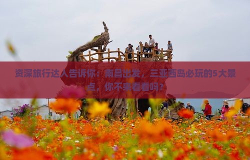南昌前往三亚西岛必玩地