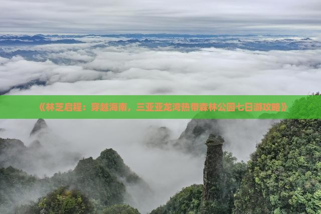 林芝前往三亚亚龙湾热带森林公园七日游