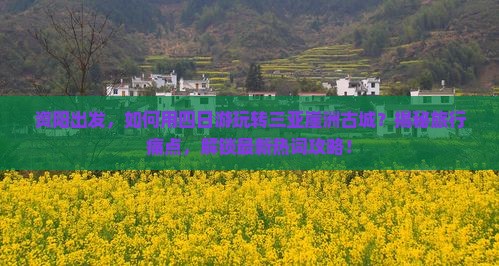资阳出发三亚崖洲古城四日游