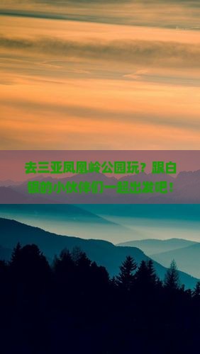 白银去三亚凤凰岭公园旅行社