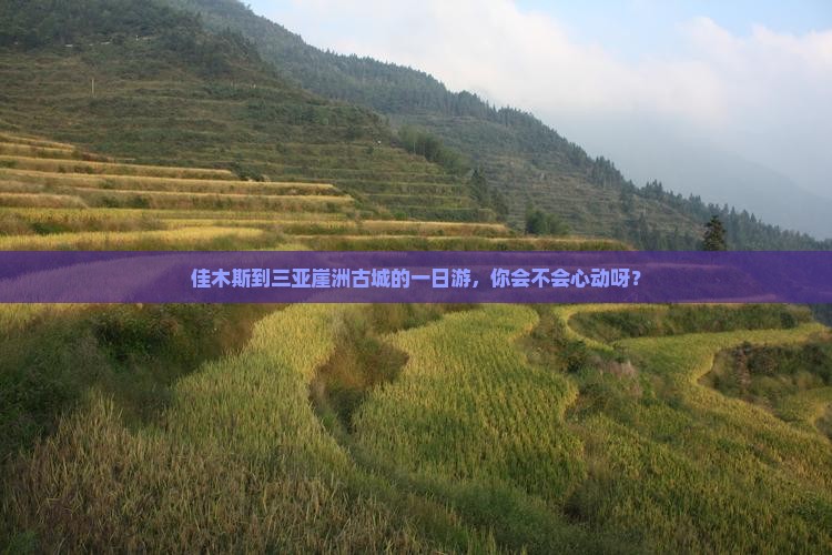 佳木斯去三亚崖洲古城一日游