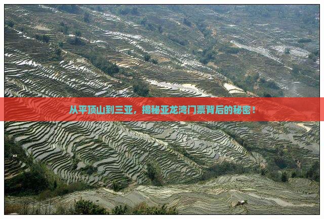 平顶山出发三亚亚龙湾门票