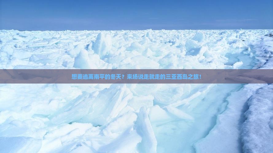 南平去三亚西岛旅行社