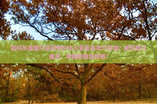 楚雄去三亚亚龙湾六日游