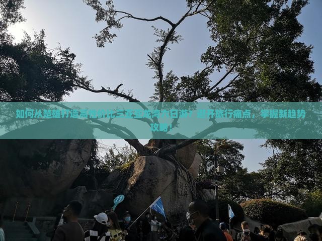 楚雄去三亚亚龙湾六日游