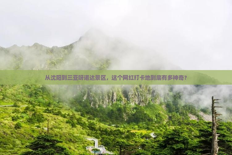 沈阳前往三亚呀诺达景区旅游网红地点