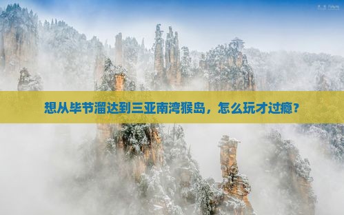 毕节去三亚南湾猴岛哪里玩