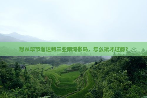 毕节去三亚南湾猴岛哪里玩