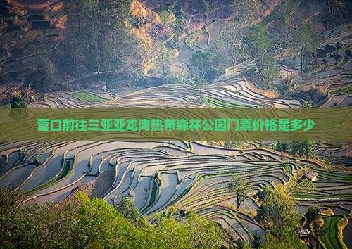 营口前往三亚亚龙湾热带森林公园门票