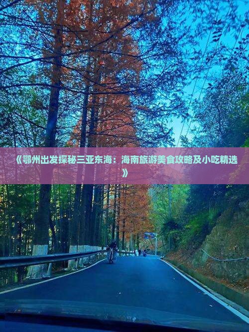 鄂州前往三亚小东海旅游小吃