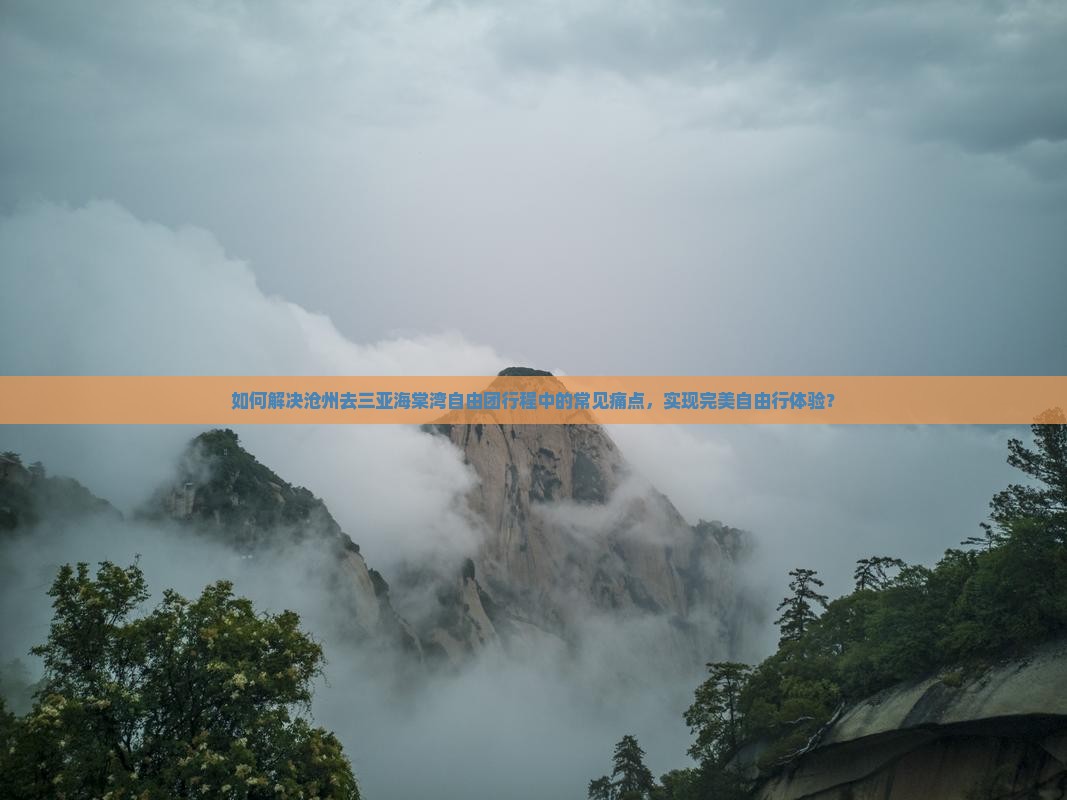 沧州去三亚海棠湾自由团
