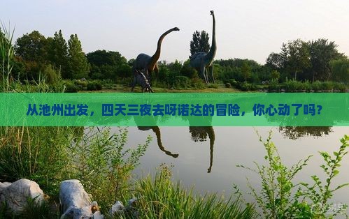 池州去三亚呀诺达景区四日游