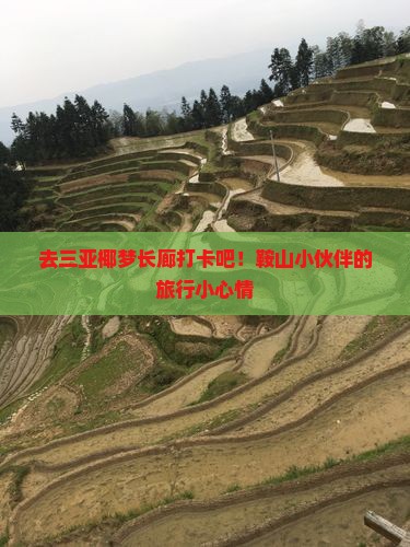 鞍山去三亚椰梦长廊旅游打卡点