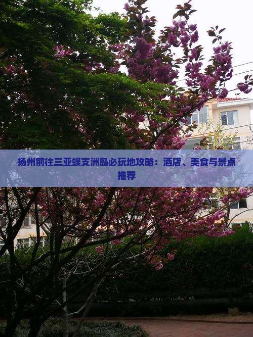 扬州前往三亚蜈支洲岛必玩地 扬州前往三亚蜈支洲岛必玩地