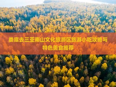 娄底去三亚南山文化旅游区旅游小吃
