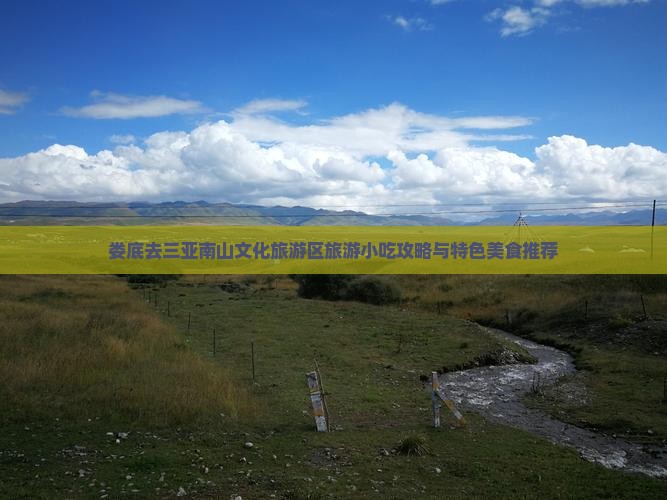 娄底去三亚南山文化旅游区旅游小吃