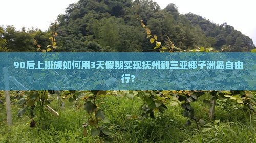 抚州去三亚椰子洲岛三日游